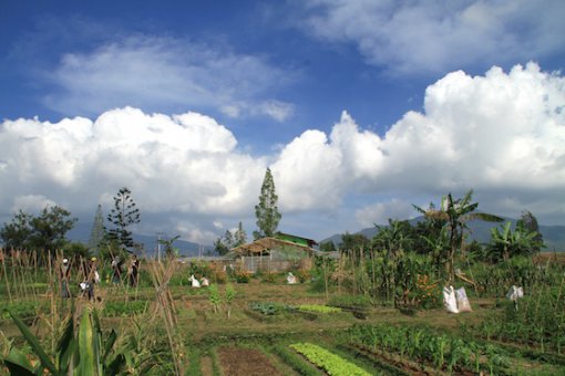 Fotografer di YUM Cipanas