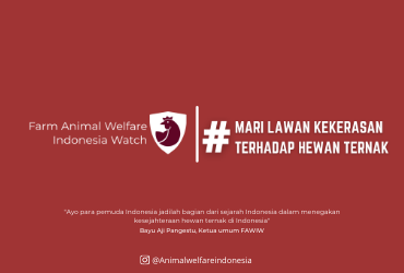 Relawan Farm Animal Welfare Indonesia