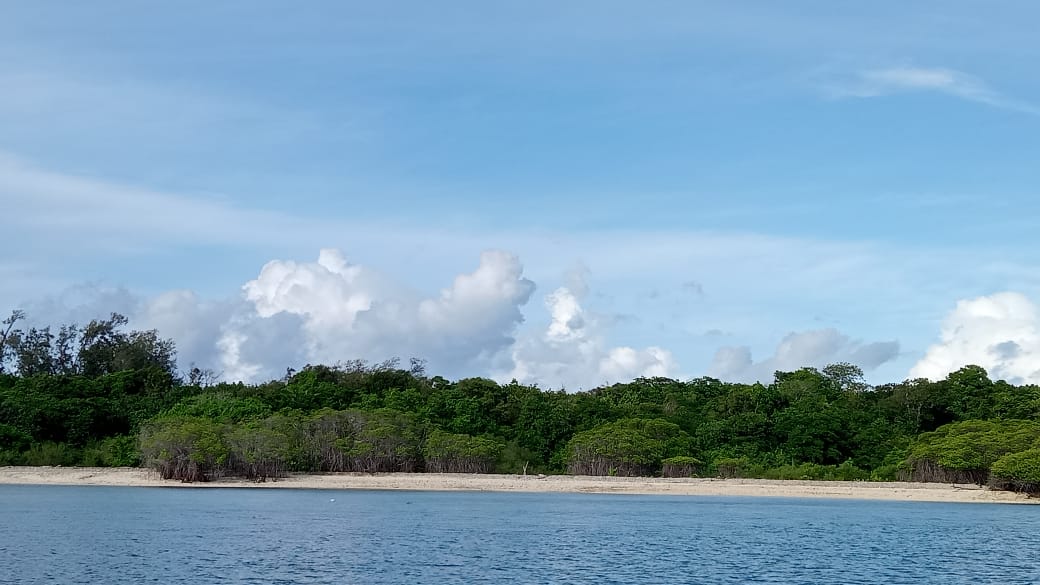 Galeri aktivitas Eco Edu Camp, Taman Nasional Ujung Kulon ke-8