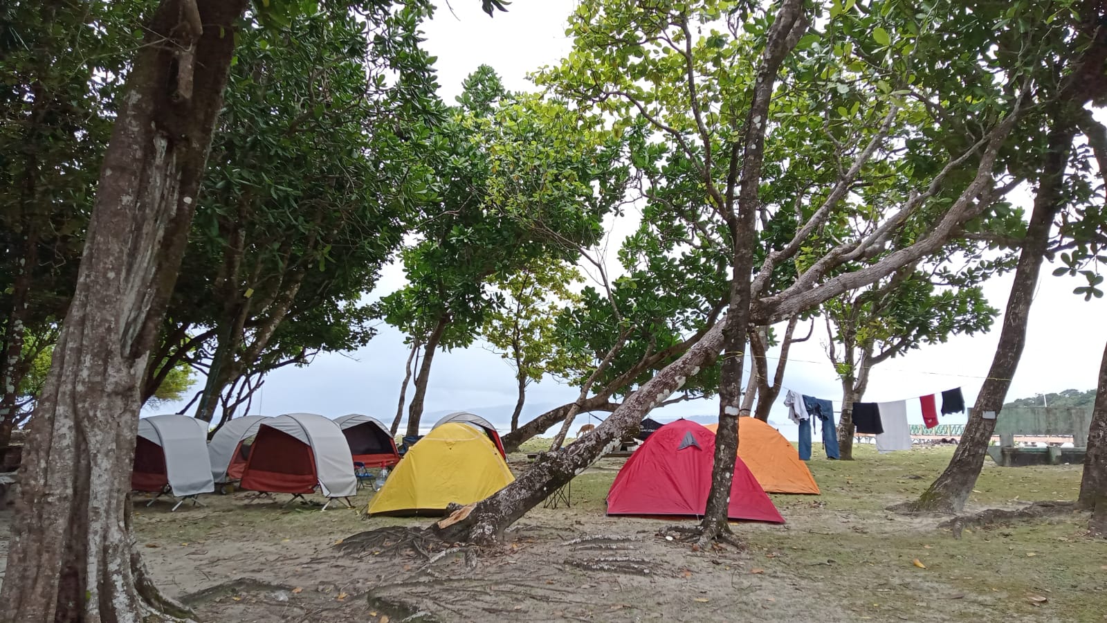 Galeri aktivitas Eco Edu Camp, Taman Nasional Ujung Kulon ke-10
