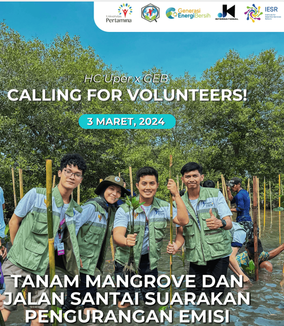 Menanam Mangrove 