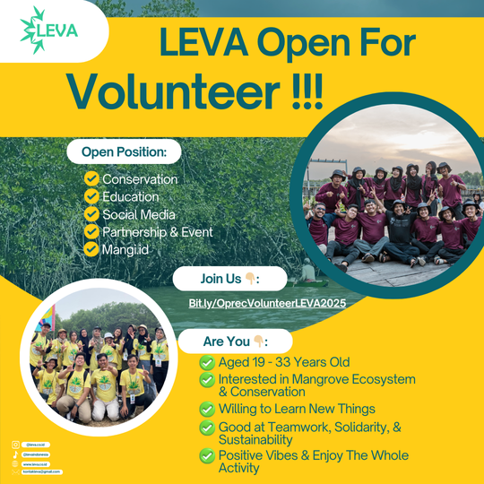 LEVA OPEN VOLUNTEER !!